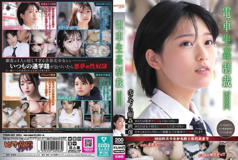 YDNS-003 火车性惩罚003：骚货乘客被陌生壮汉轮流爆操 汁液横流沦陷成公共便器